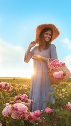 Woman with basket of roses in beautiful blooming field