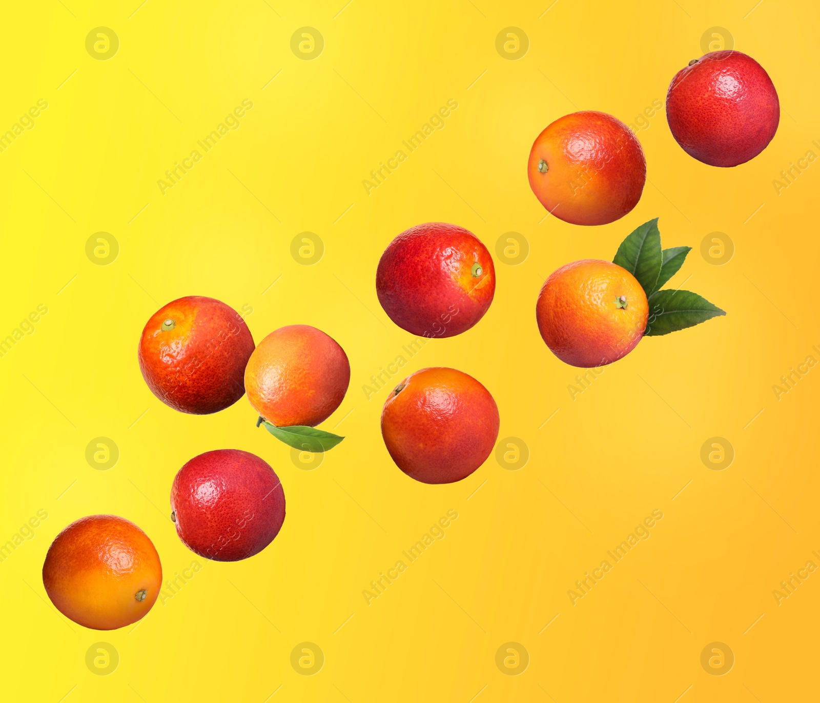 Image of Many tasty Sicilian oranges and green leaves flying on color background