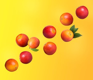 Image of Many tasty Sicilian oranges and green leaves flying on color background