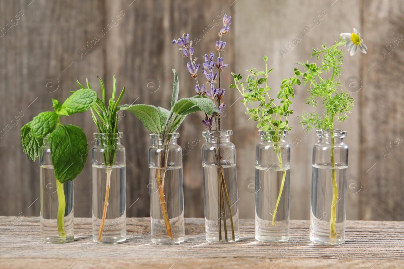 Photo of Bottles with essential oils and plants on wooden table