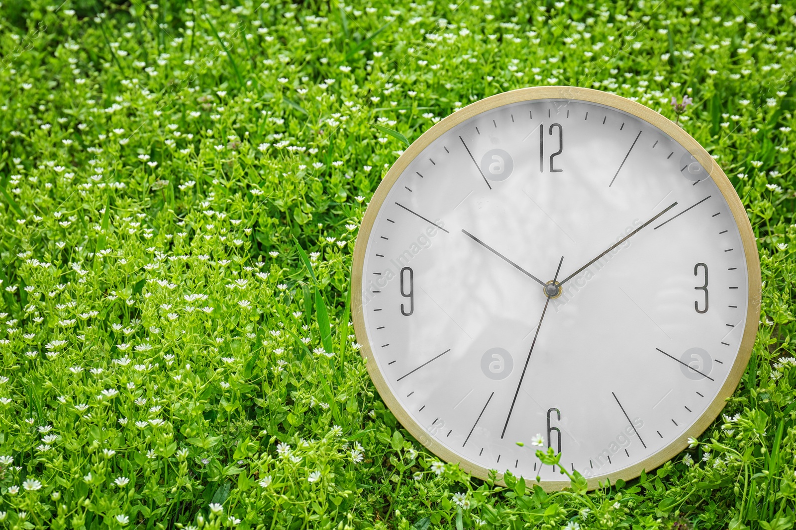 Photo of Big clock among flowers, outdoors. Time change concept