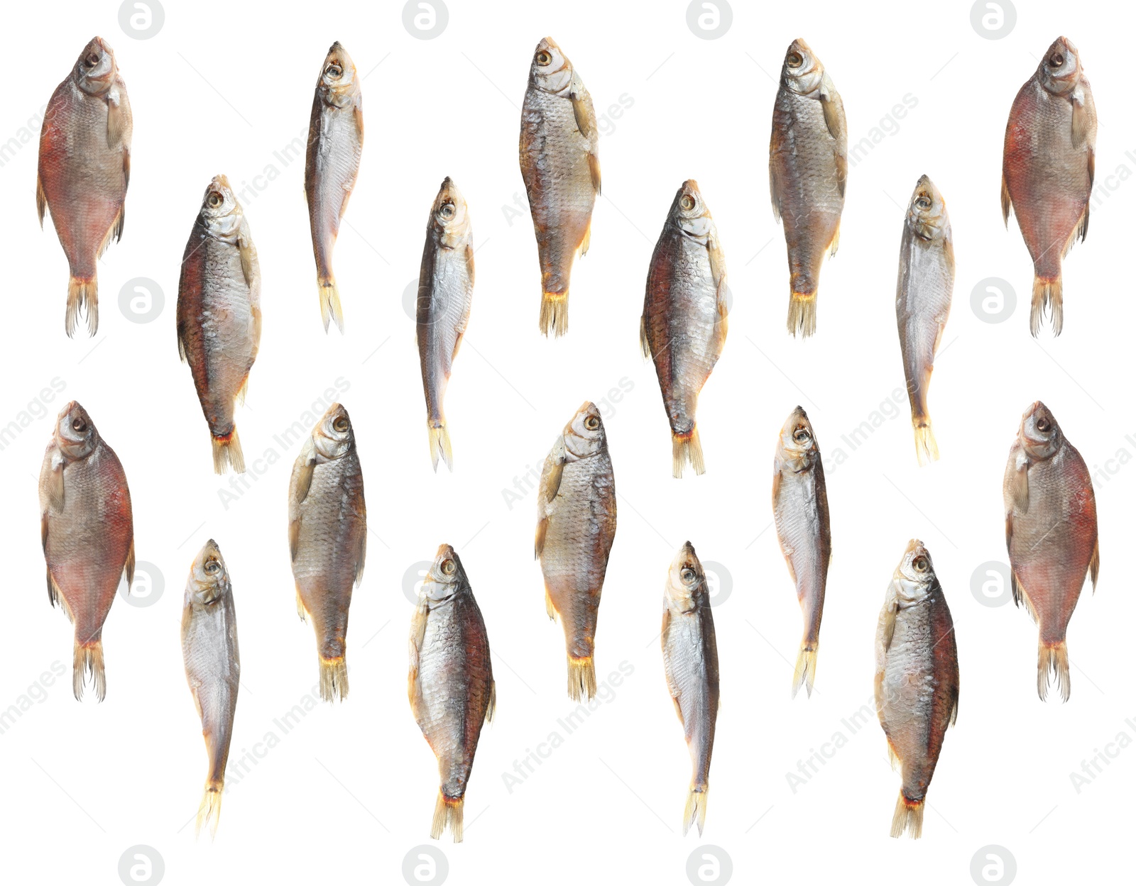 Image of Set of tasty dry fish on white background