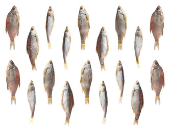 Image of Set of tasty dry fish on white background