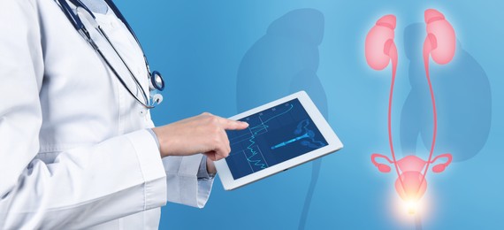 Image of Doctor holding modern tablet and virtual image of urinary system on blue background, closeup. Banner design
