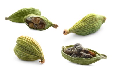 Image of Set with dry cardamom pods on white background