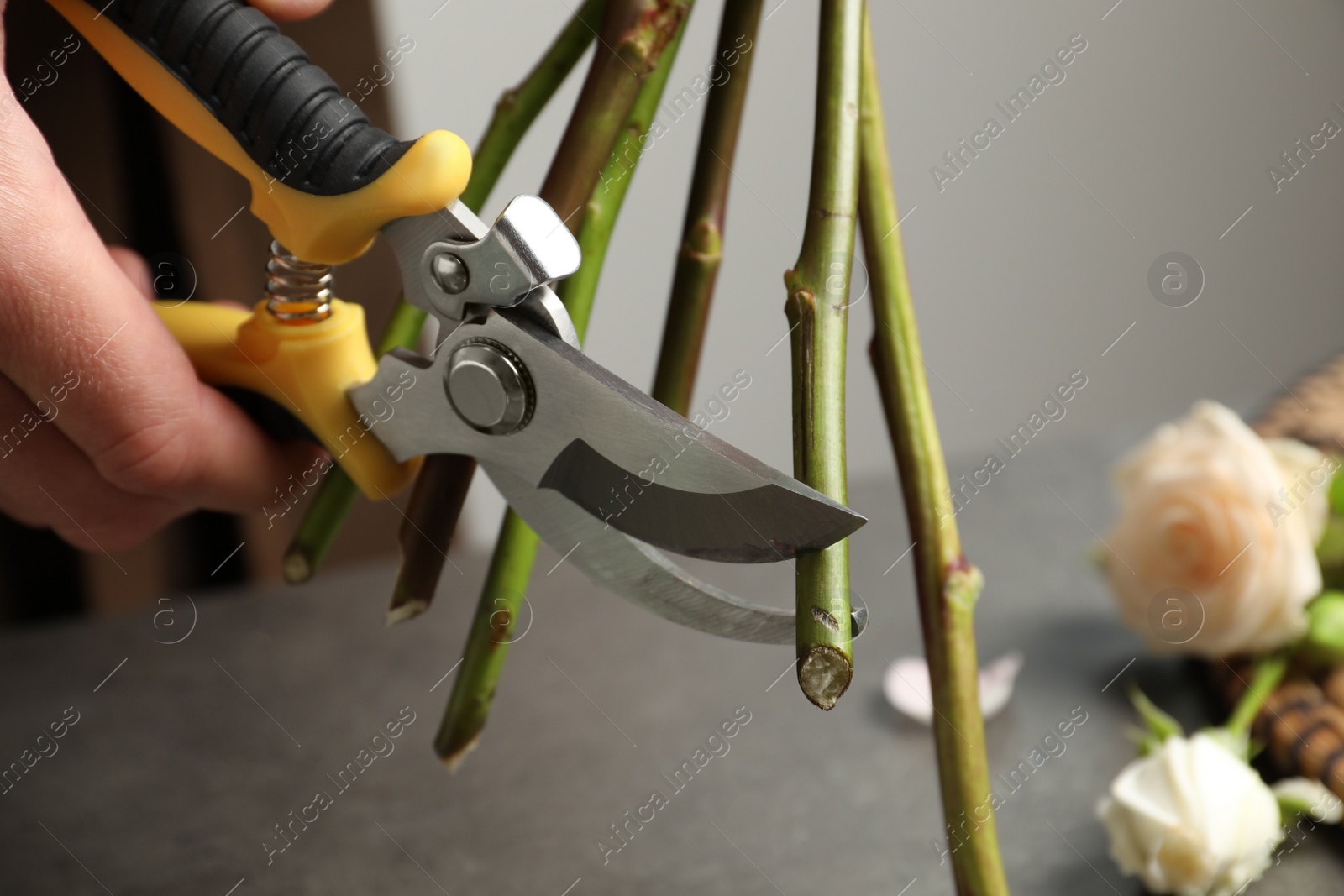 Photo of Florist cutting flower stems with pruner at workplace, closeup