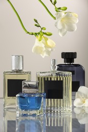 Luxury perfumes and freesia flowers on mirror surface against light grey background. Floral fragrance