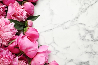 Photo of Fragrant peonies on marble background, flat lay with space for text. Beautiful spring flowers