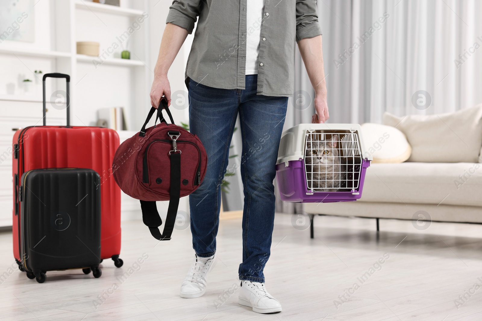 Photo of Travel with pet. Man holding carrier with cute cat and bag at home, closeup