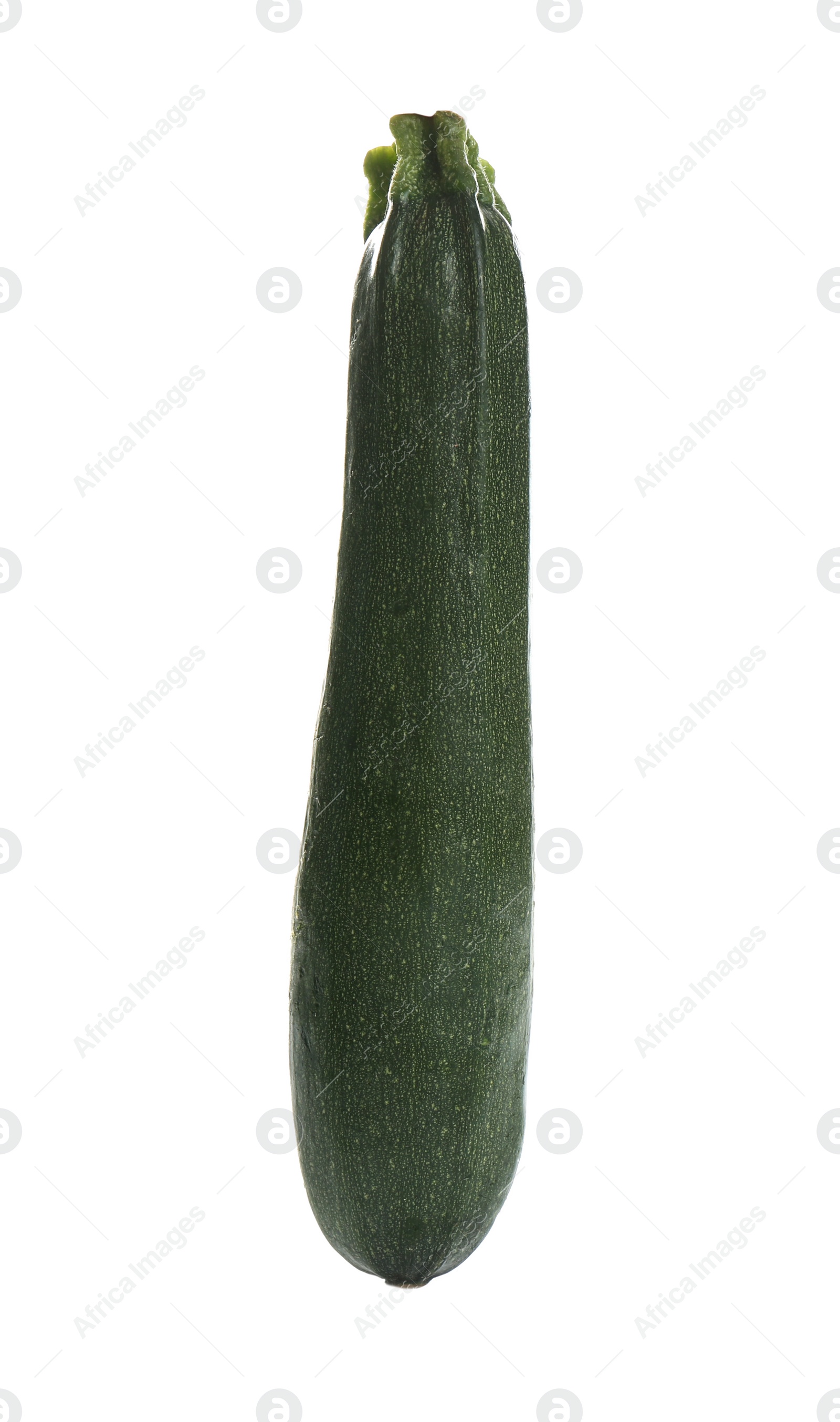 Photo of Fresh ripe green zucchini isolated on white