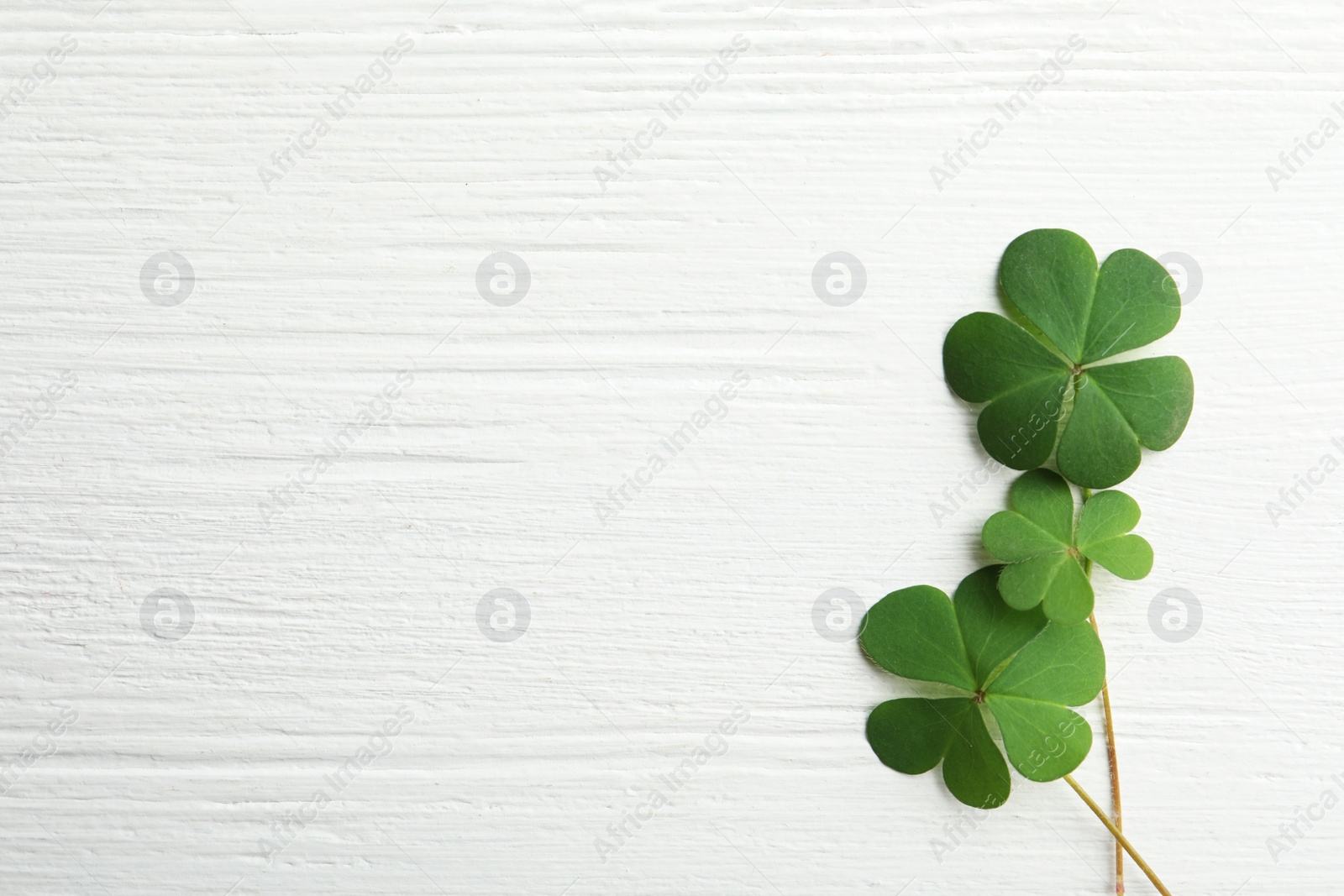 Photo of Clover leaves on white wooden table, flat lay with space for text. St. Patrick's Day symbol