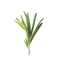 Photo of Fresh green rosemary leaves on white background