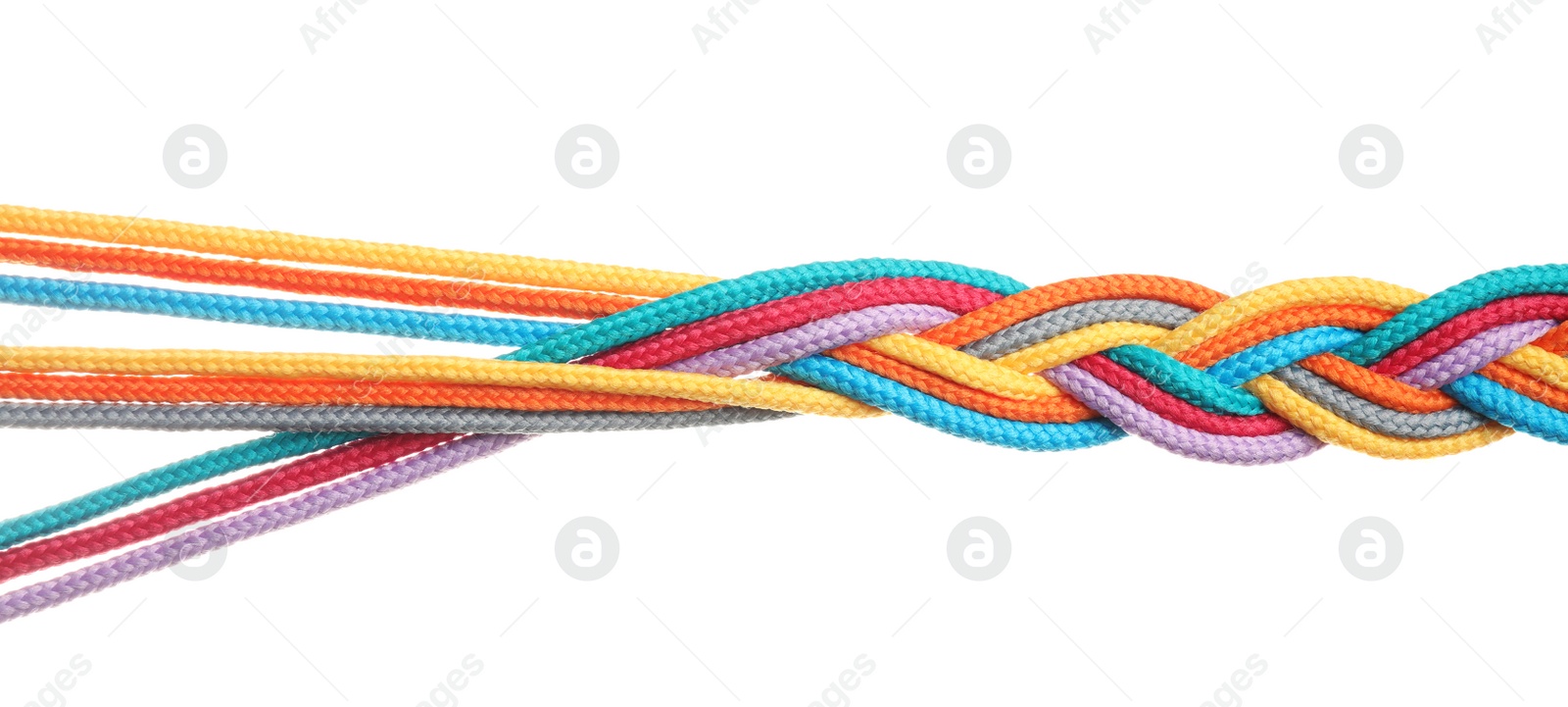 Photo of Braided colorful ropes isolated on white. Unity concept