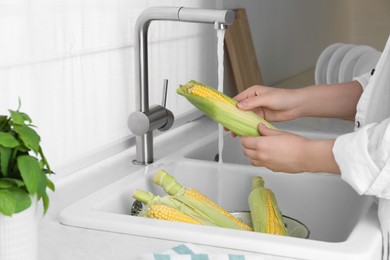 Woman washing corn cob in kitchen, closeup