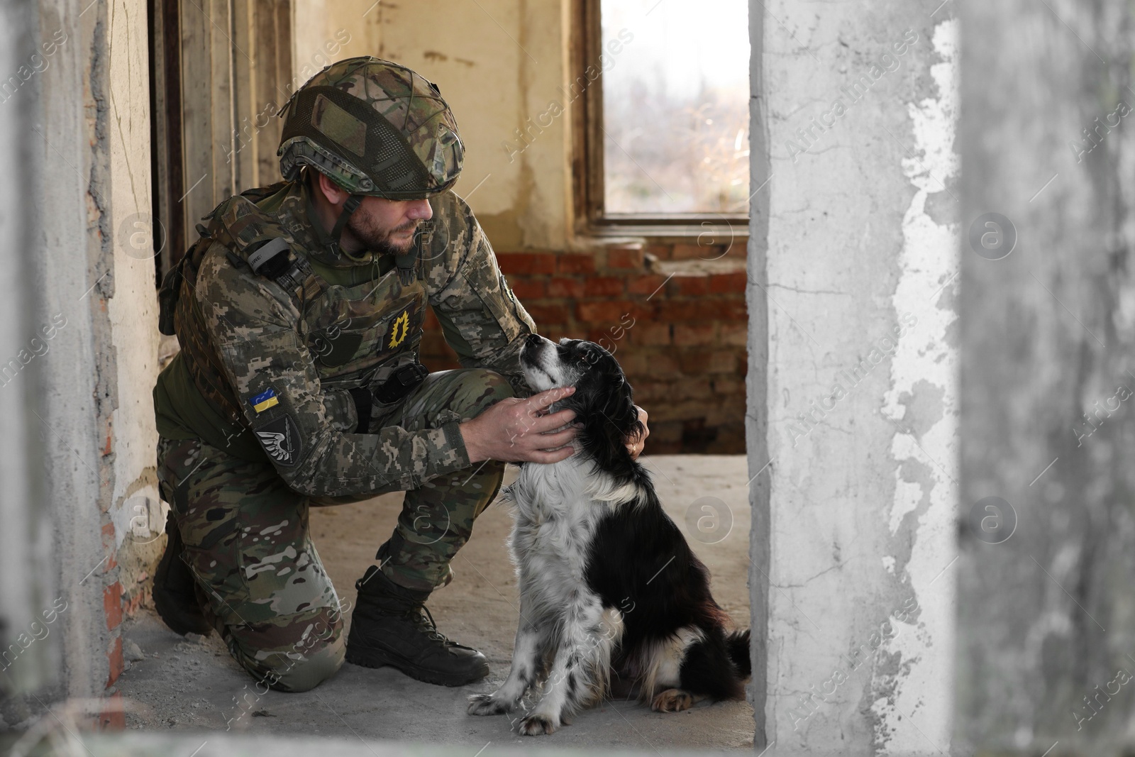 Photo of Ukrainian soldier with stray dog in abandoned building