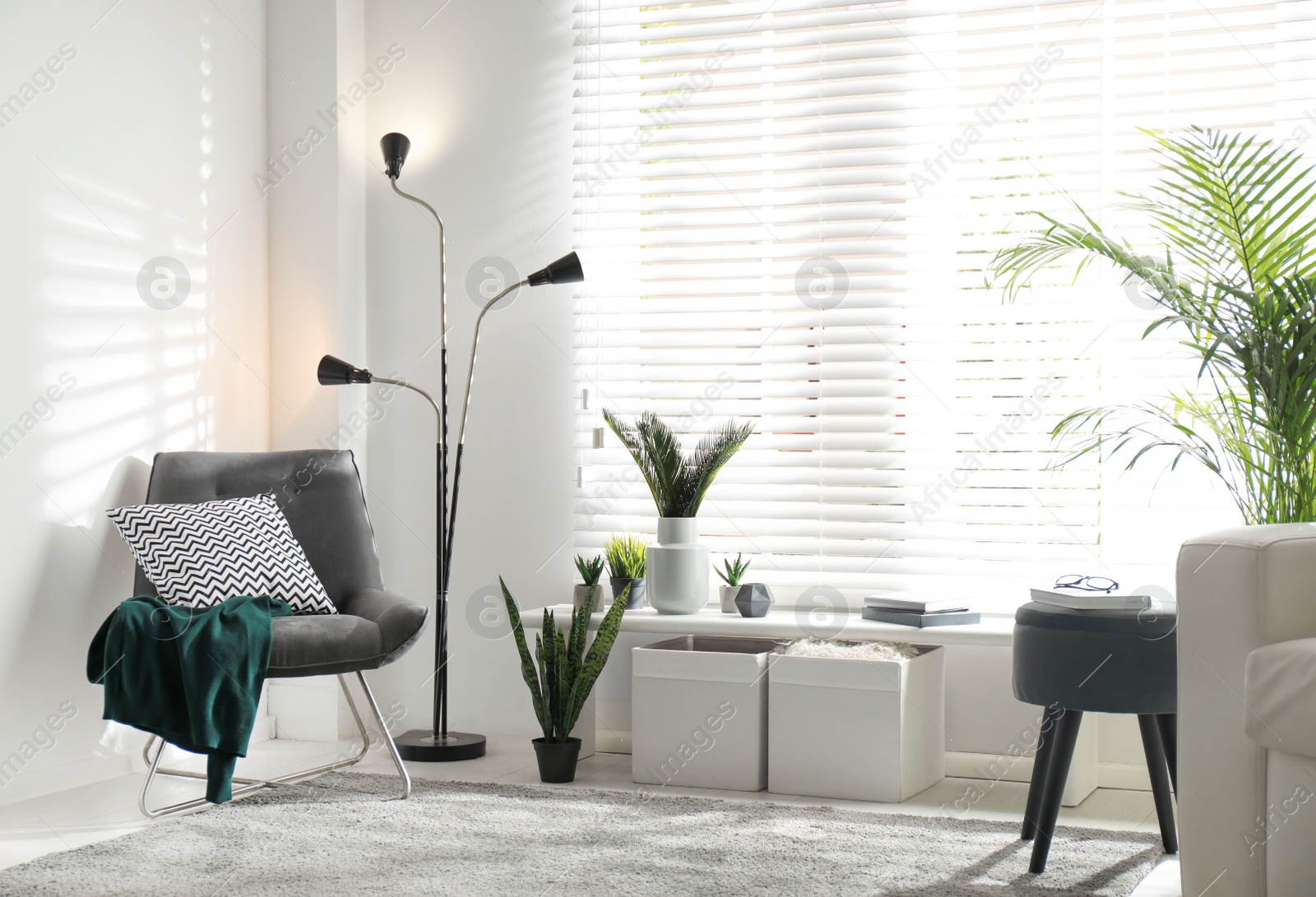 Photo of Beautiful tropical plants with lush leaves in stylish living room interior