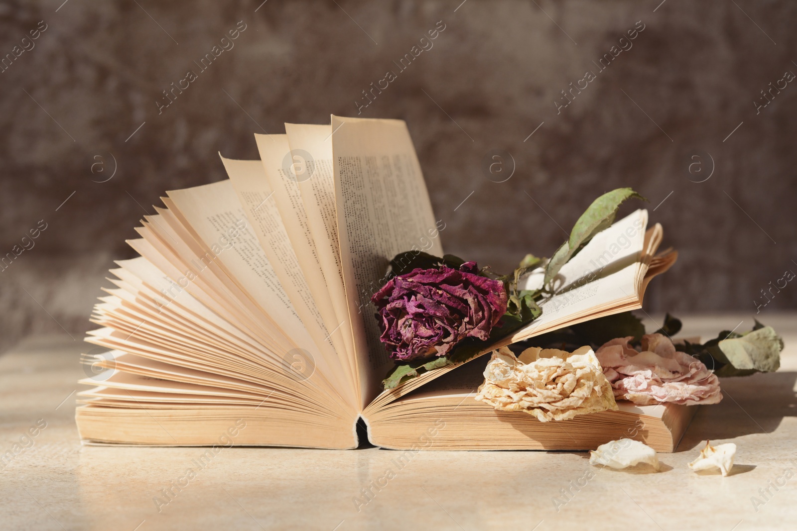 Photo of Book with beautiful dried flowers on light table