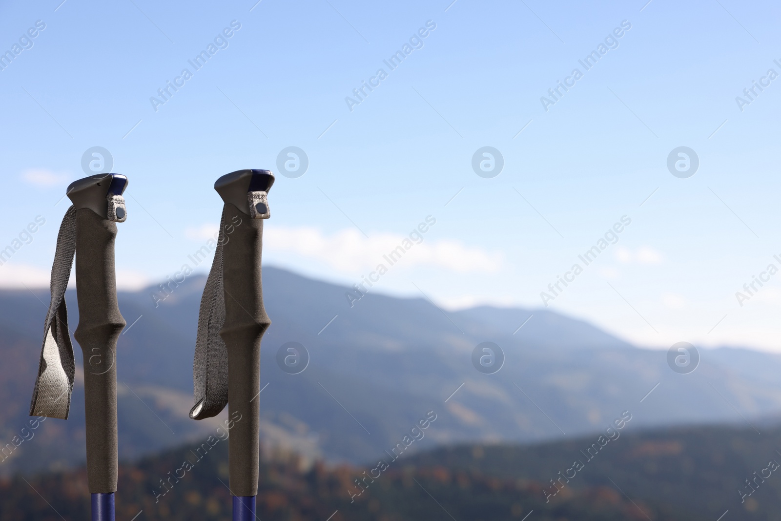 Photo of Trekking poles in mountains on sunny day, closeup. Space for text