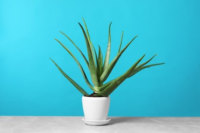 Photo of Green aloe vera in pot on grey marble table against light blue background