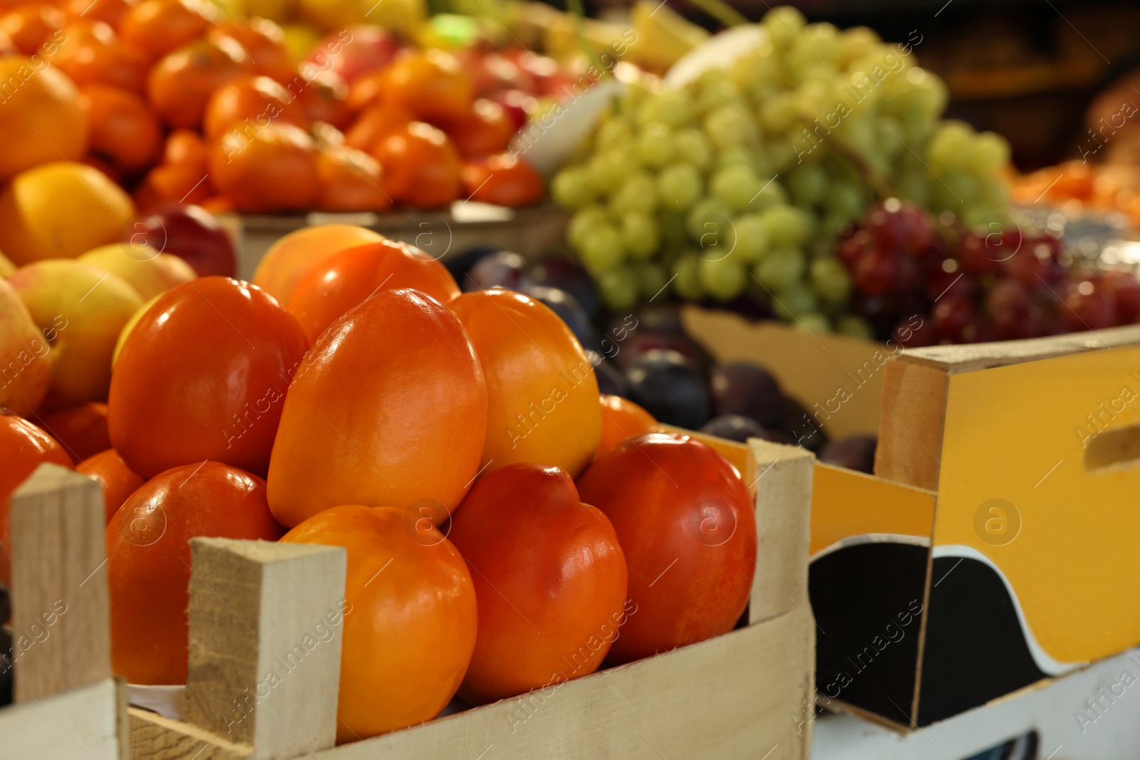 Photo of Many different fresh fruits on counter at wholesale market