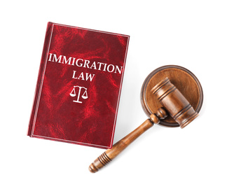 Image of Immigration law book and wooden gavel on white background, top view