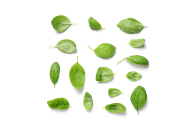 Photo of Fresh green basil leaves on white background, top view