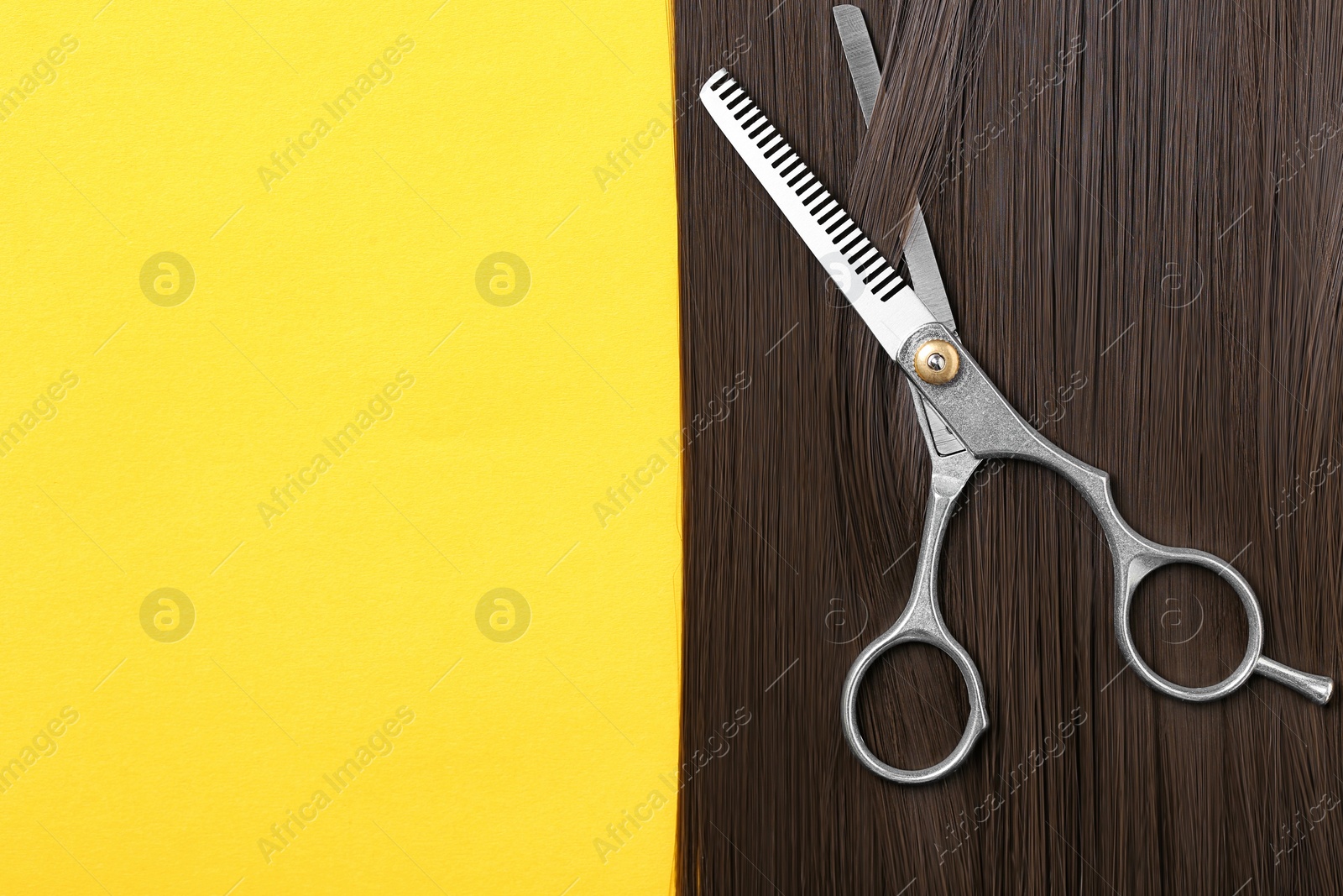 Photo of Flat lay composition with brown hair, thinning scissors and space for text on color background. Hairdresser service