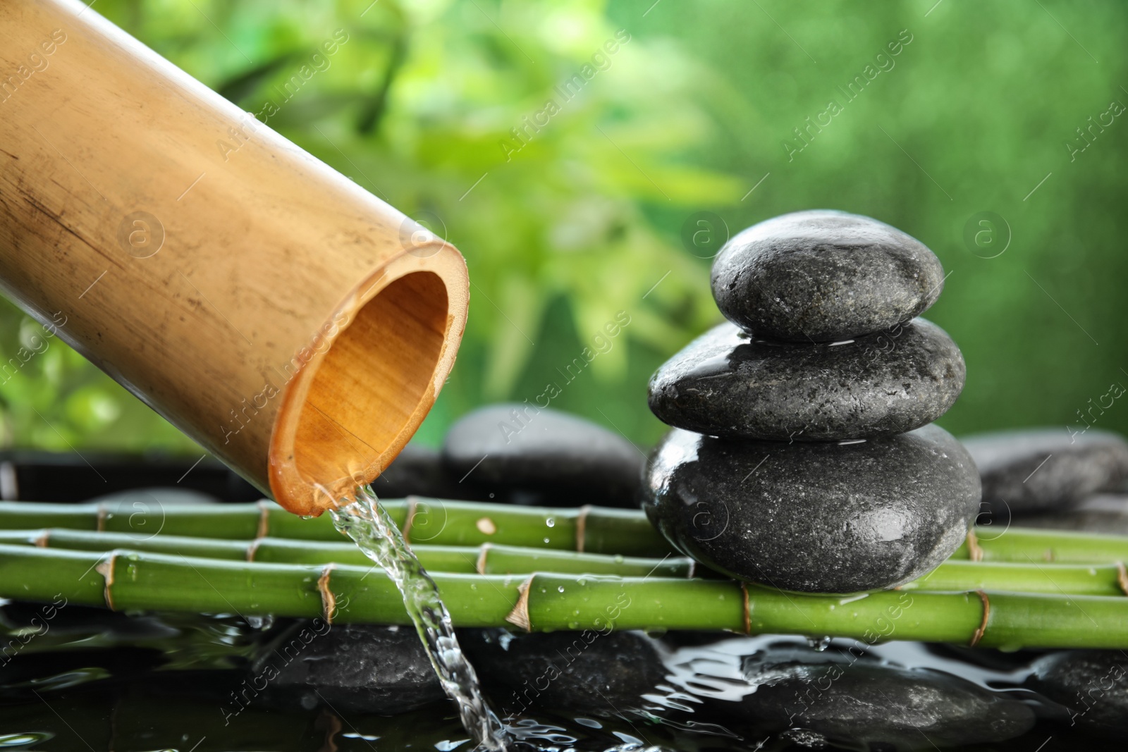 Photo of Traditional bamboo fountain with zen stones