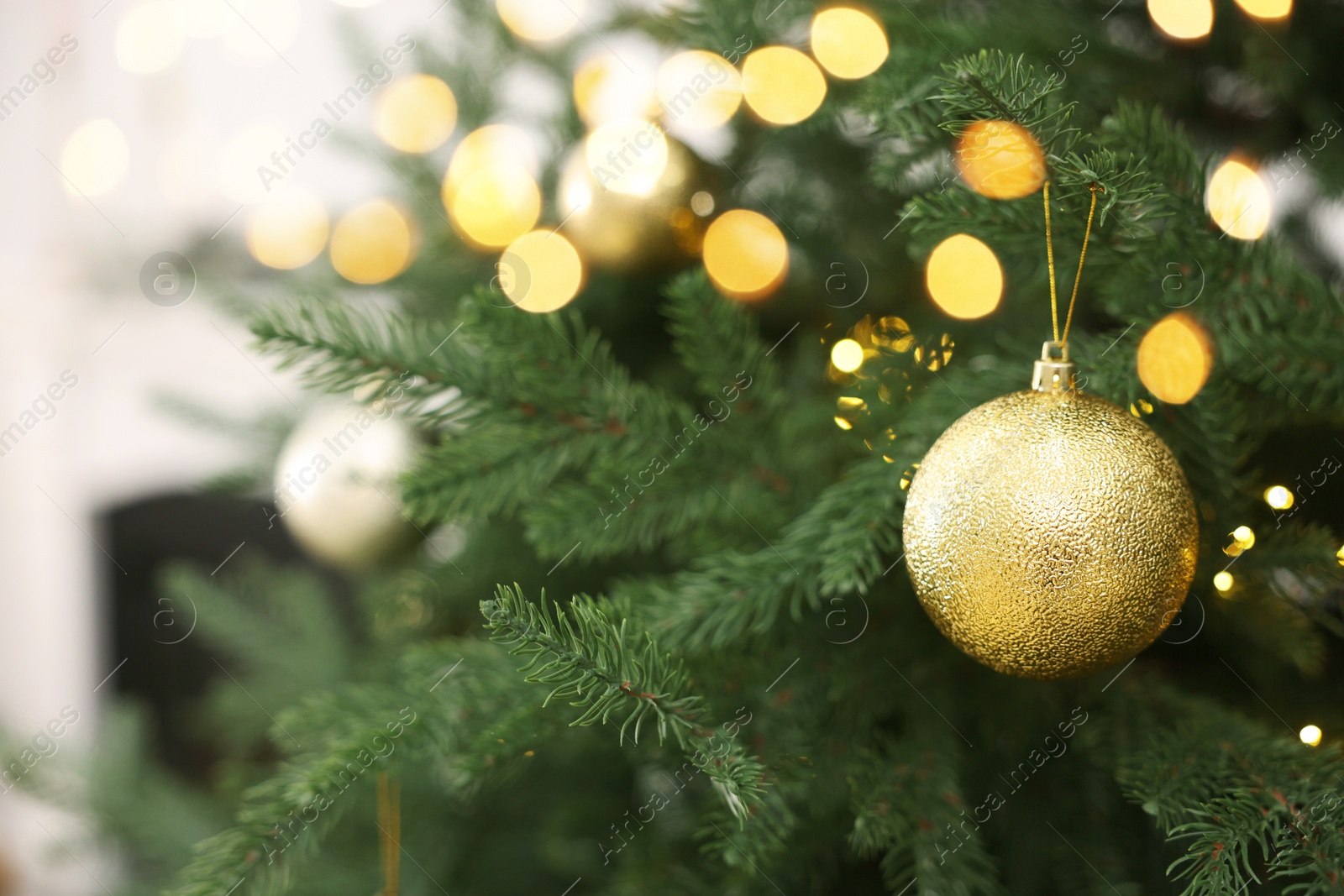 Photo of Christmas ball hanging on fir tree branch indoors, closeup. Space for text