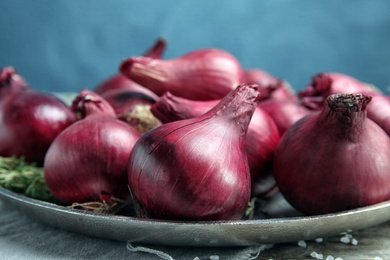 Plate with ripe red onions on table, closeup