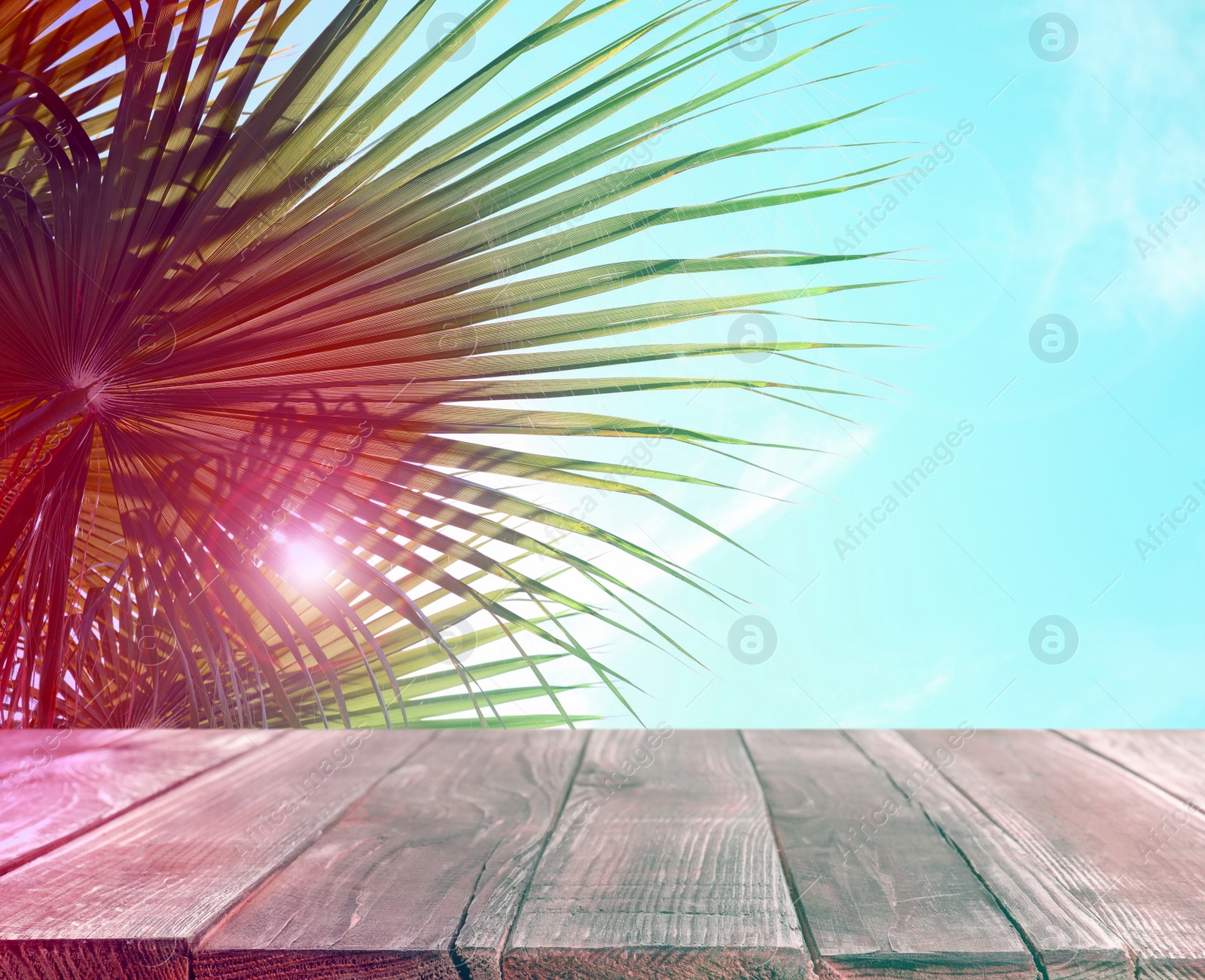 Image of Palm branches and wooden table against blue sky, color tone effect. Summer party