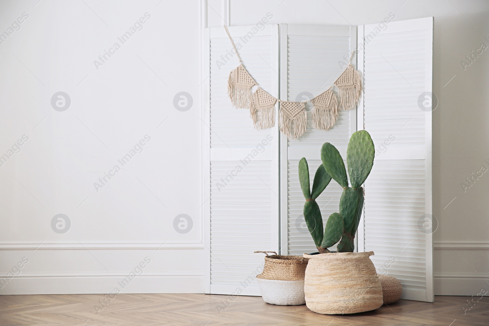 Photo of Stylish room interior with beautiful potted cactus