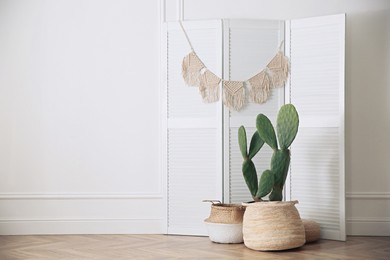 Photo of Stylish room interior with beautiful potted cactus
