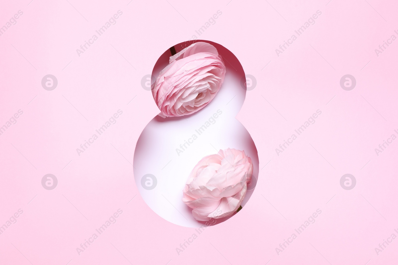 Photo of 8 March greeting card design with ranunculus flowers, top view. Happy International Women's Day