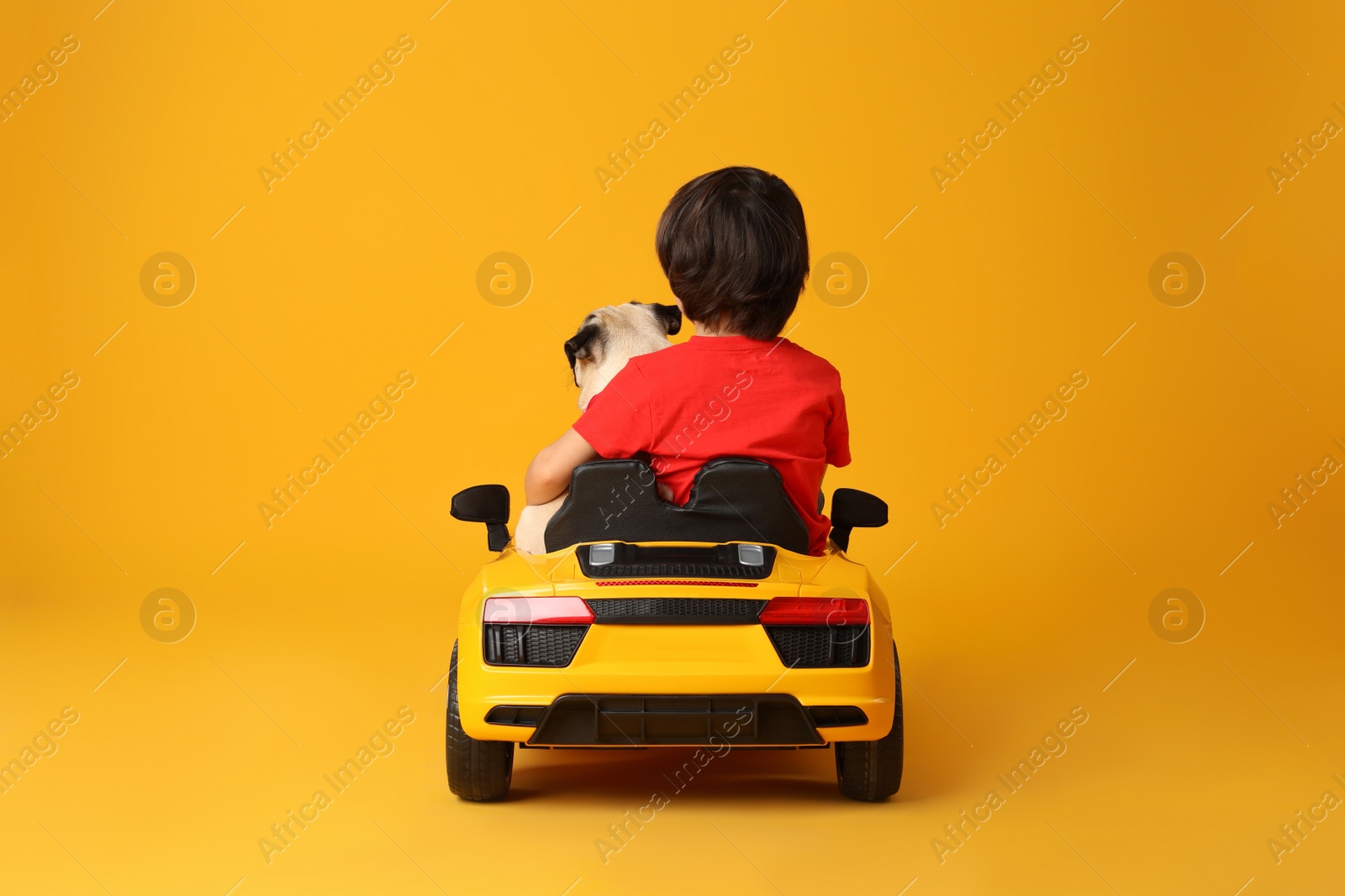 Photo of Little boy with his dog in toy car on yellow background, back view