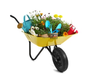 Wheelbarrow with flowers and gardening tools isolated on white