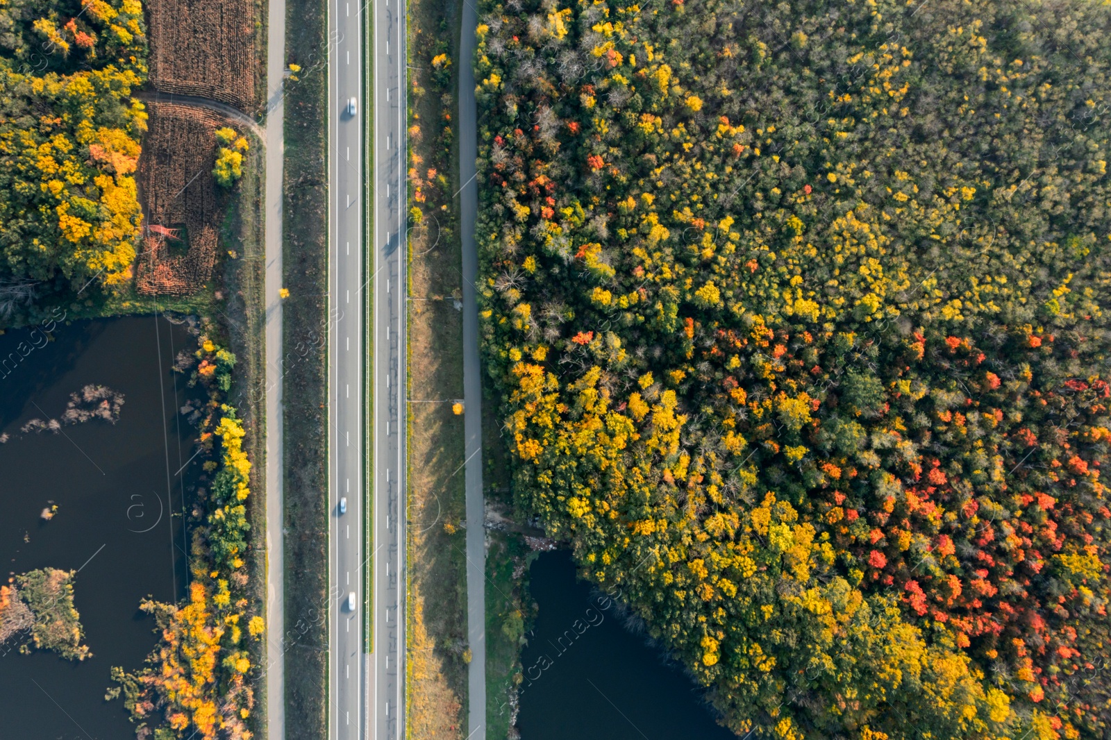 Image of Aerial view of road bridge across river near beautiful autumn forest