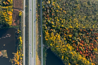 Image of Aerial view of road bridge across river near beautiful autumn forest