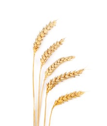 Photo of Dried earswheat on white background, top view