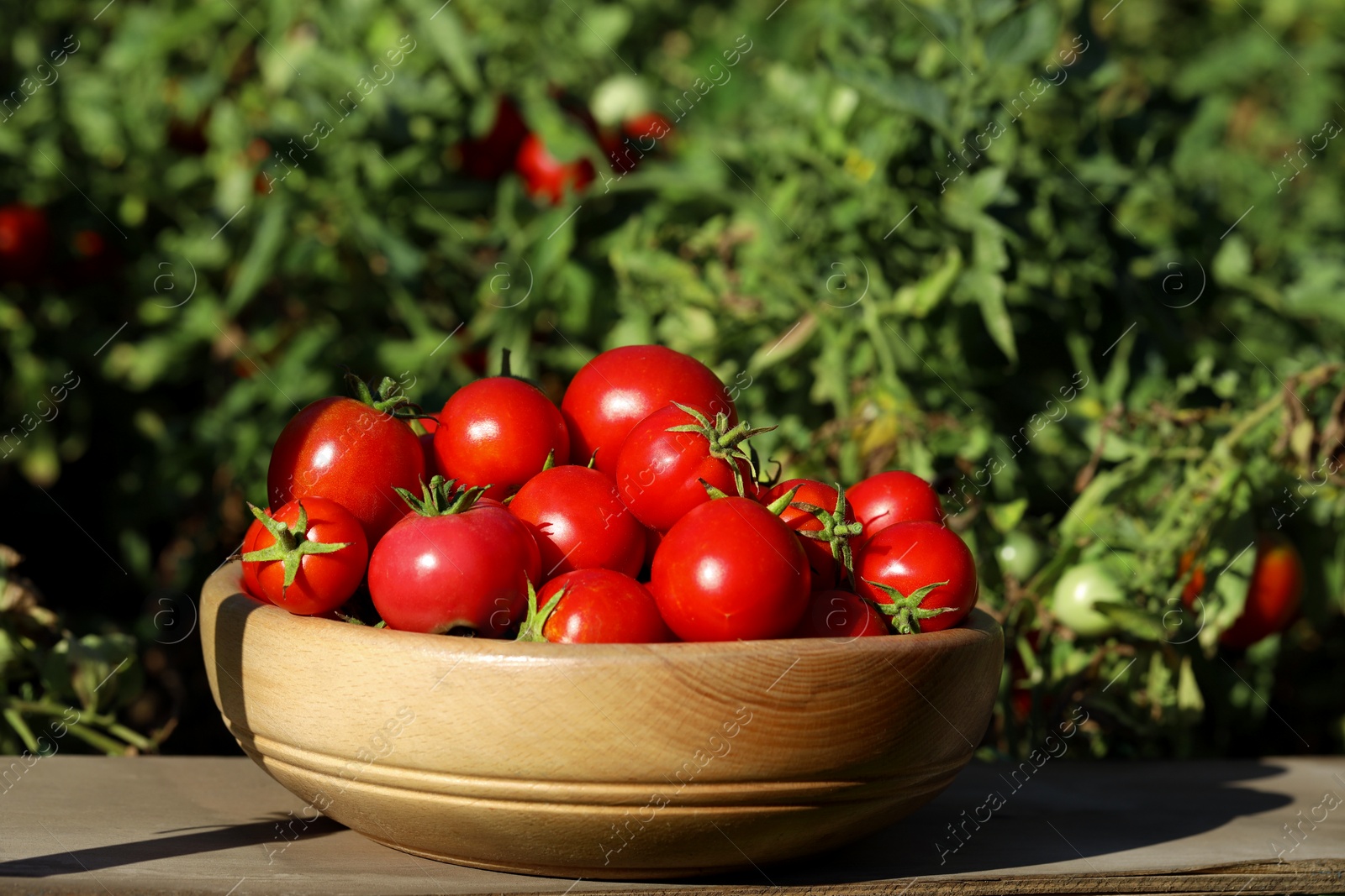 Photo of Bowl of ripe tomatoes on wooden table outdoors