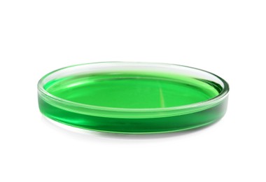 Petri dish with green liquid sample isolated on white