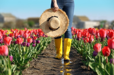 Photo of Woman in rubber boots walking across field with beautiful tulips after rain, closeup