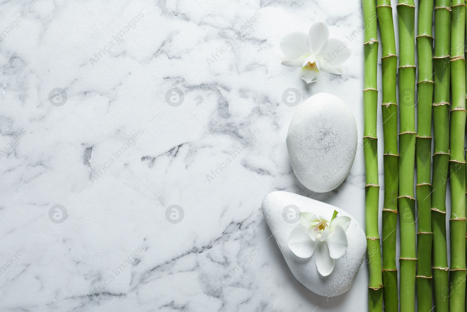 Photo of Flat lay composition with green bamboo stems on marble background. Space for text