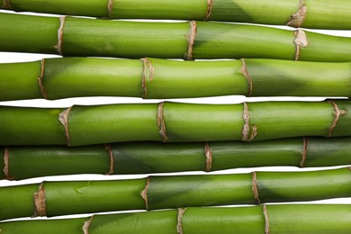 Photo of Beautiful green bamboo stems as background, top view