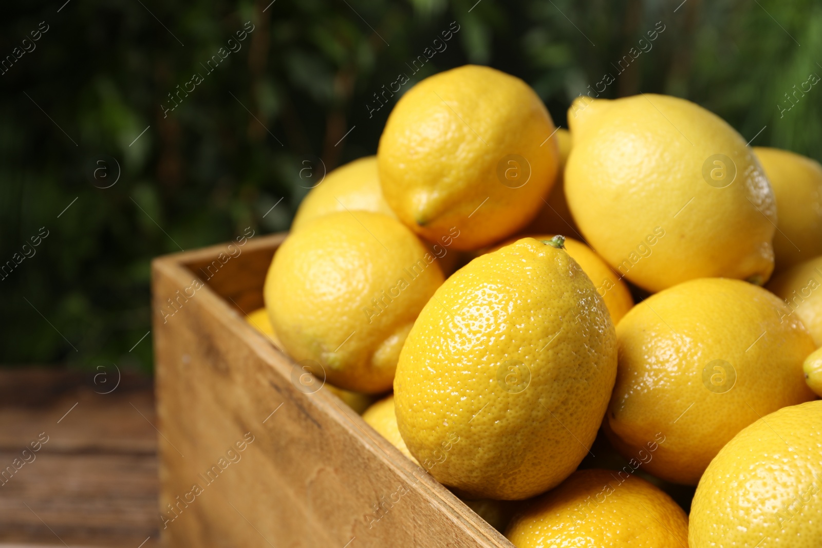 Photo of Fresh lemons in crate on wooden table, closeup