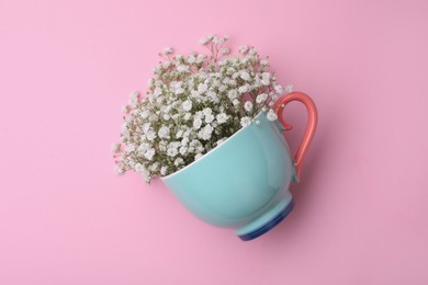 Photo of Beautiful gypsophila in cup on pink background, top view