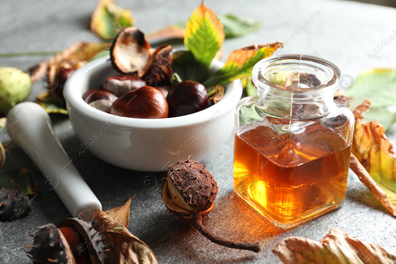 Photo of Horse chestnuts and bottle of tincture on grey table