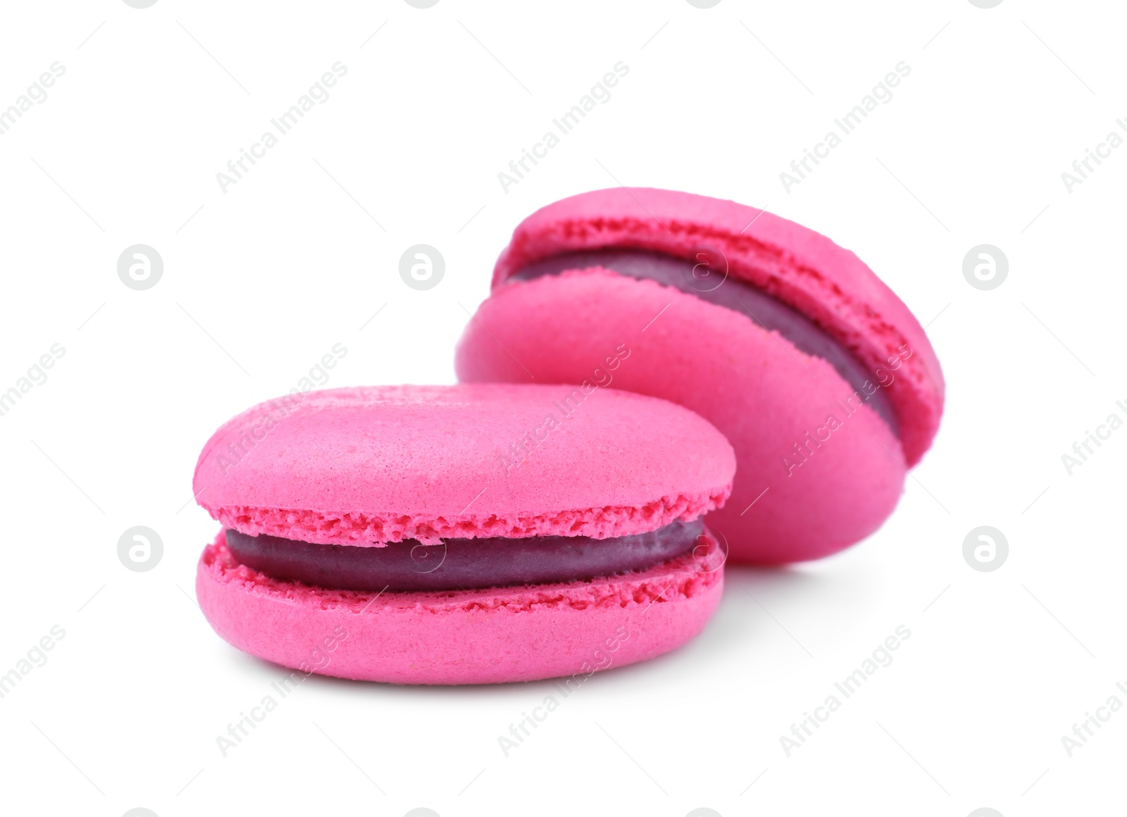 Photo of Pink macarons on white background. Delicious dessert