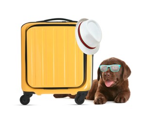 Cute puppy, suitcase and hat on white background. Travelling with pet