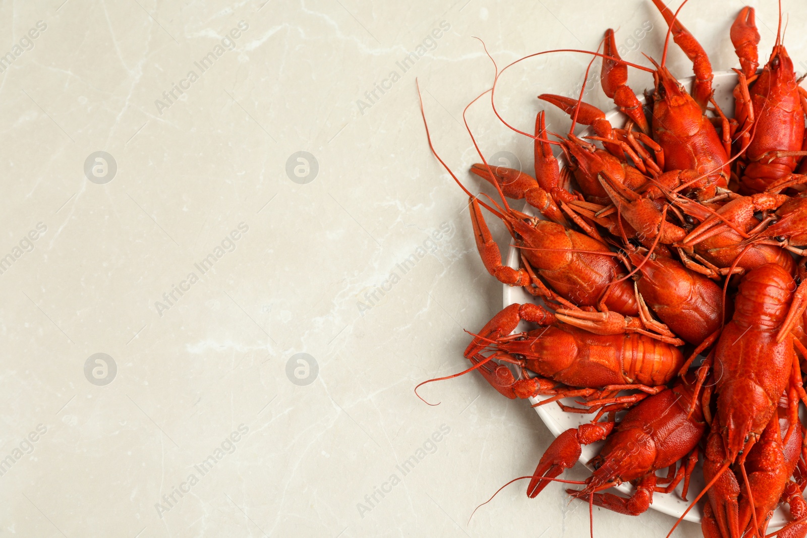 Photo of Delicious boiled crayfishes on light grey marble table, top view. Space for text